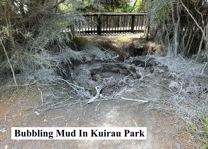 Parkview Homes "opposite Of Famous Kuirau Park" Rotorua